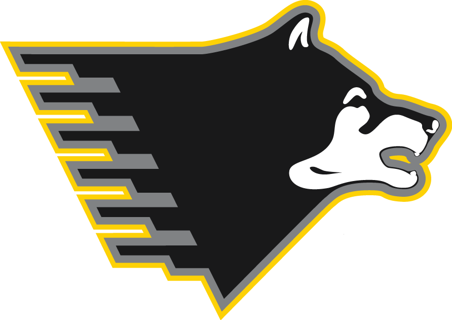 Michigan Tech Huskies 2005-Pres Partial Logo diy DTF decal sticker